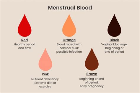 brown to black period blood|why am i bleeding dark brown blood.